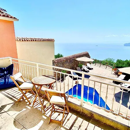 فيلة Venus Martina